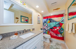Lower Level Bathroom 3a