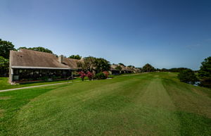 Tee Box 1