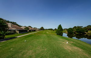 Tee Box 2