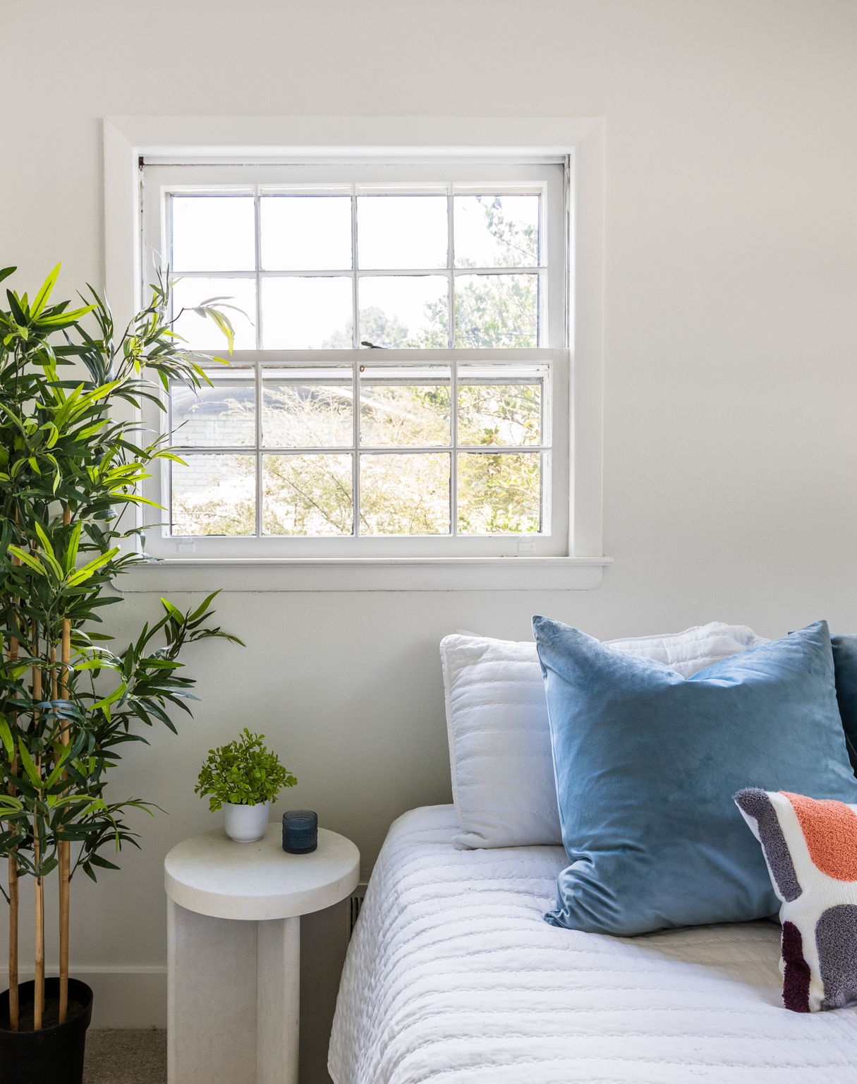 20250922_3175boyce_roots_002