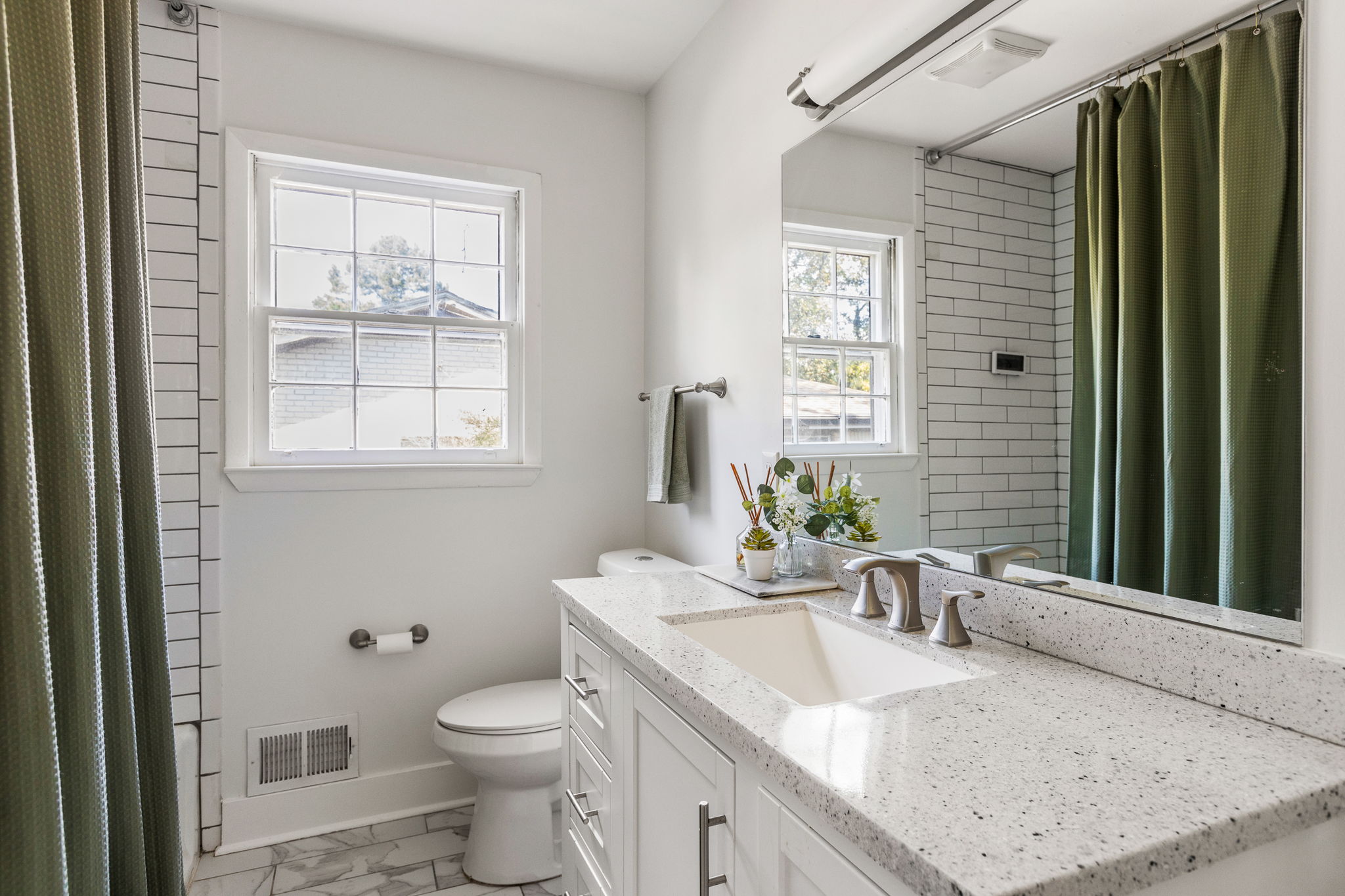 20250922_3175boyce_roots_003