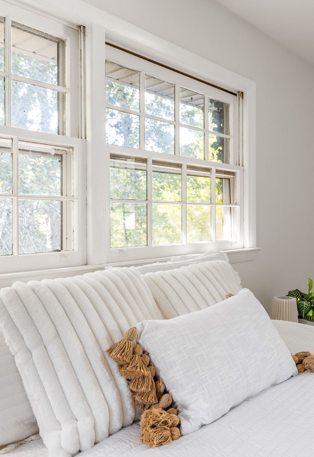 20250922_3175boyce_roots_007