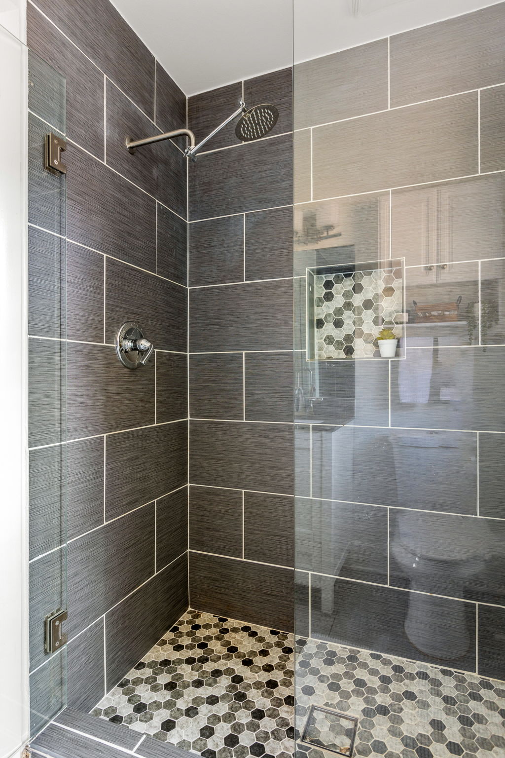 20250922_3175boyce_roots_009