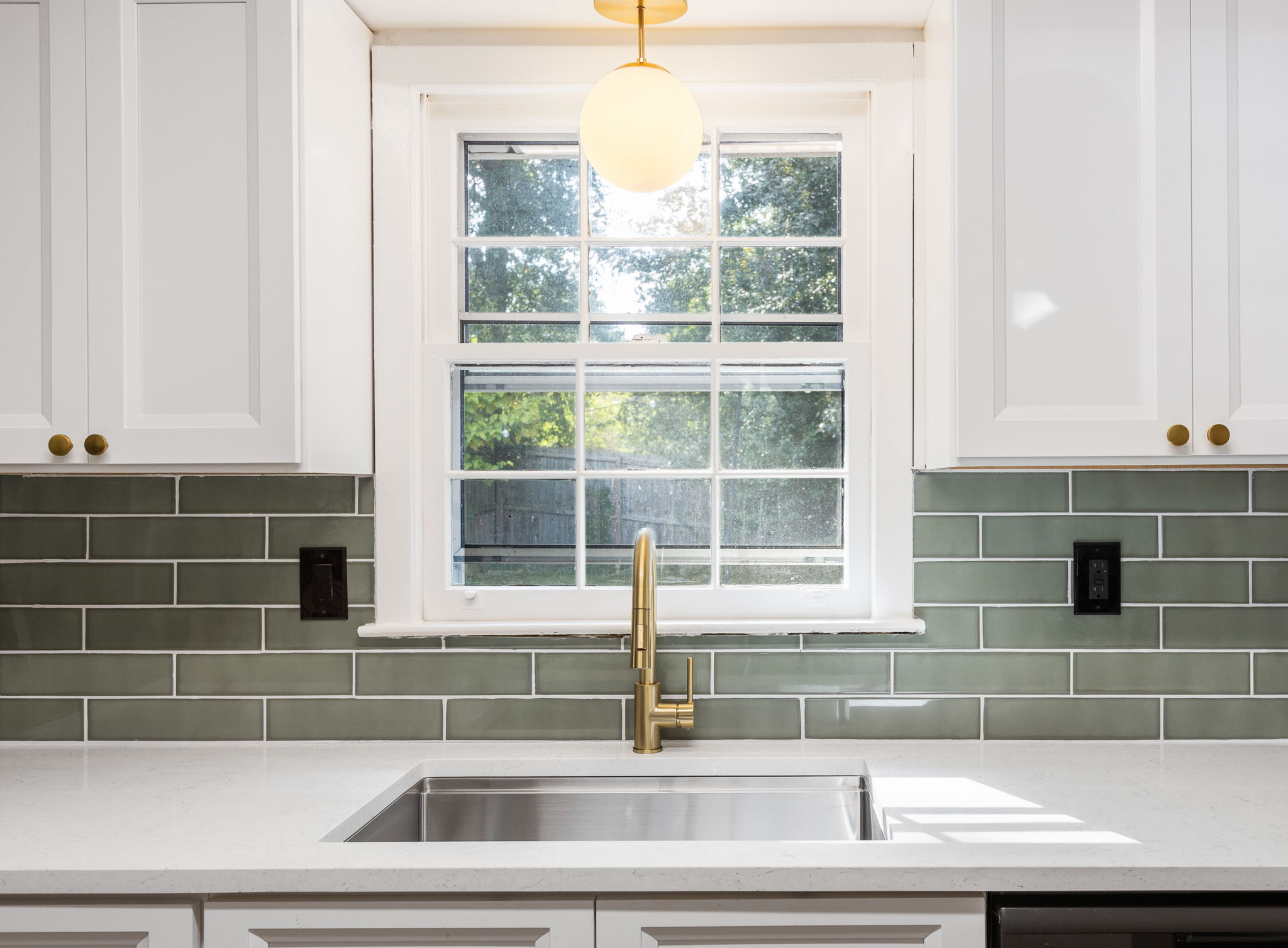 20250922_3175boyce_roots_019