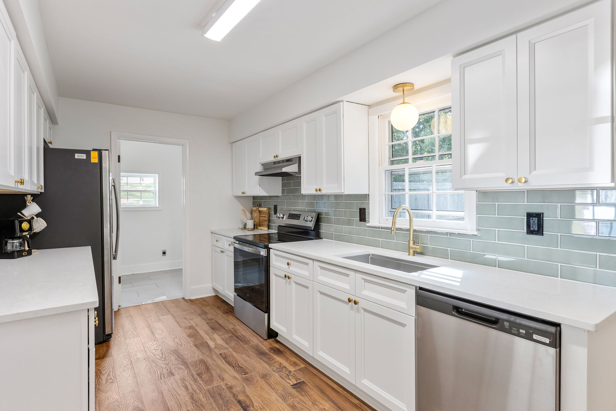 20250922_3175boyce_roots_020