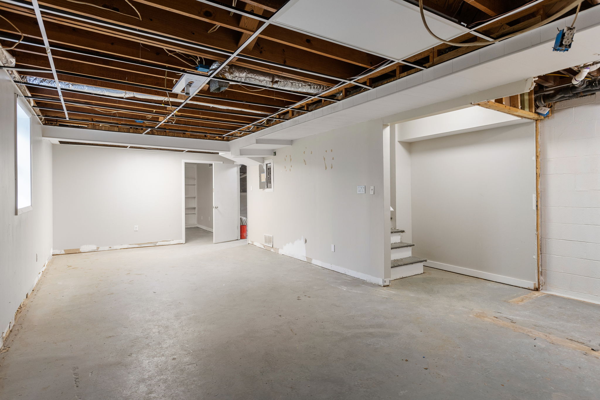 20250922_3175boyce_roots_025