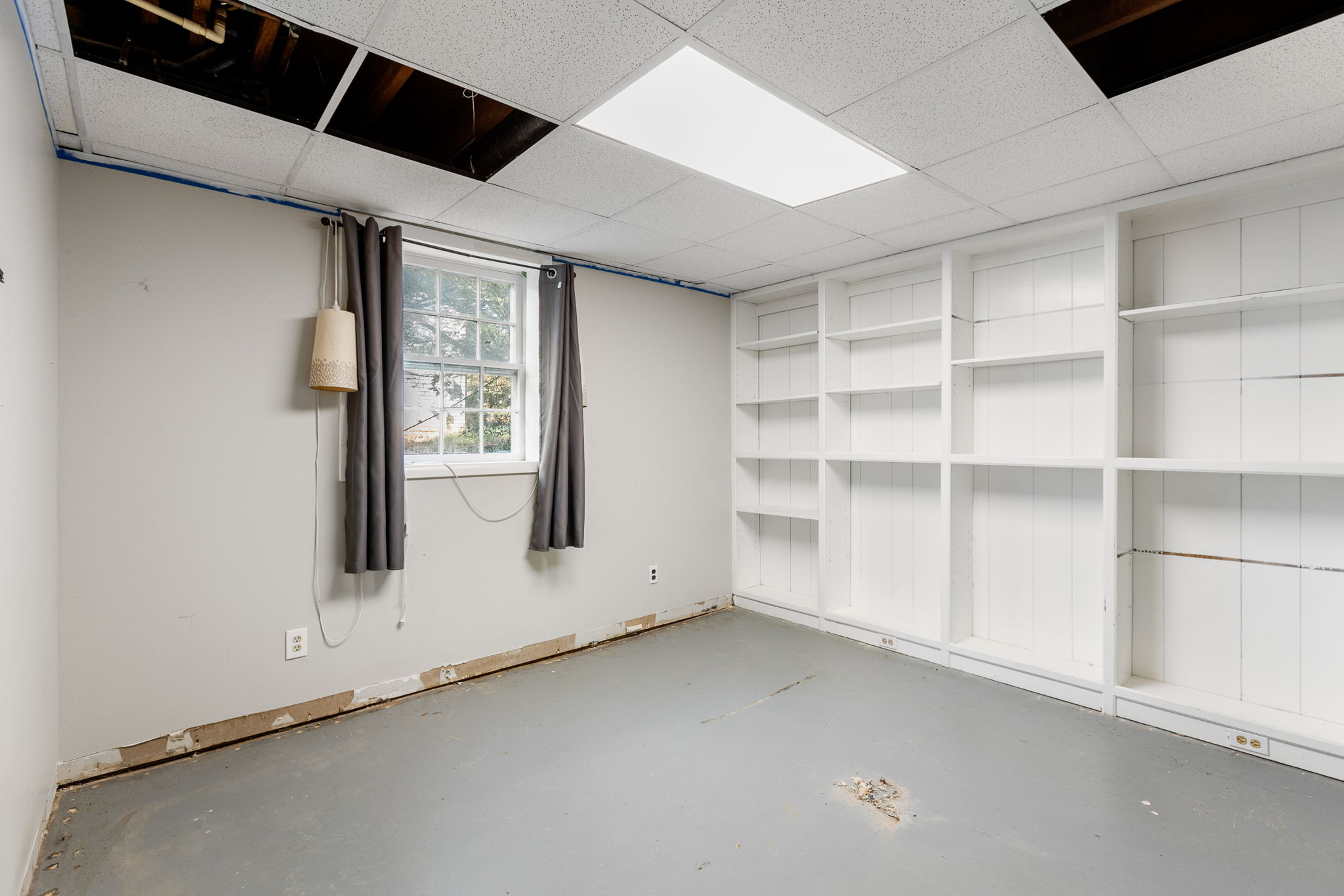 20250922_3175boyce_roots_026