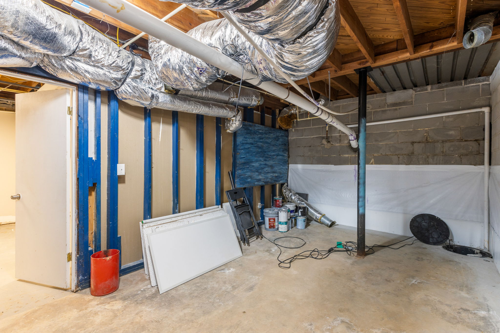 20250922_3175boyce_roots_027