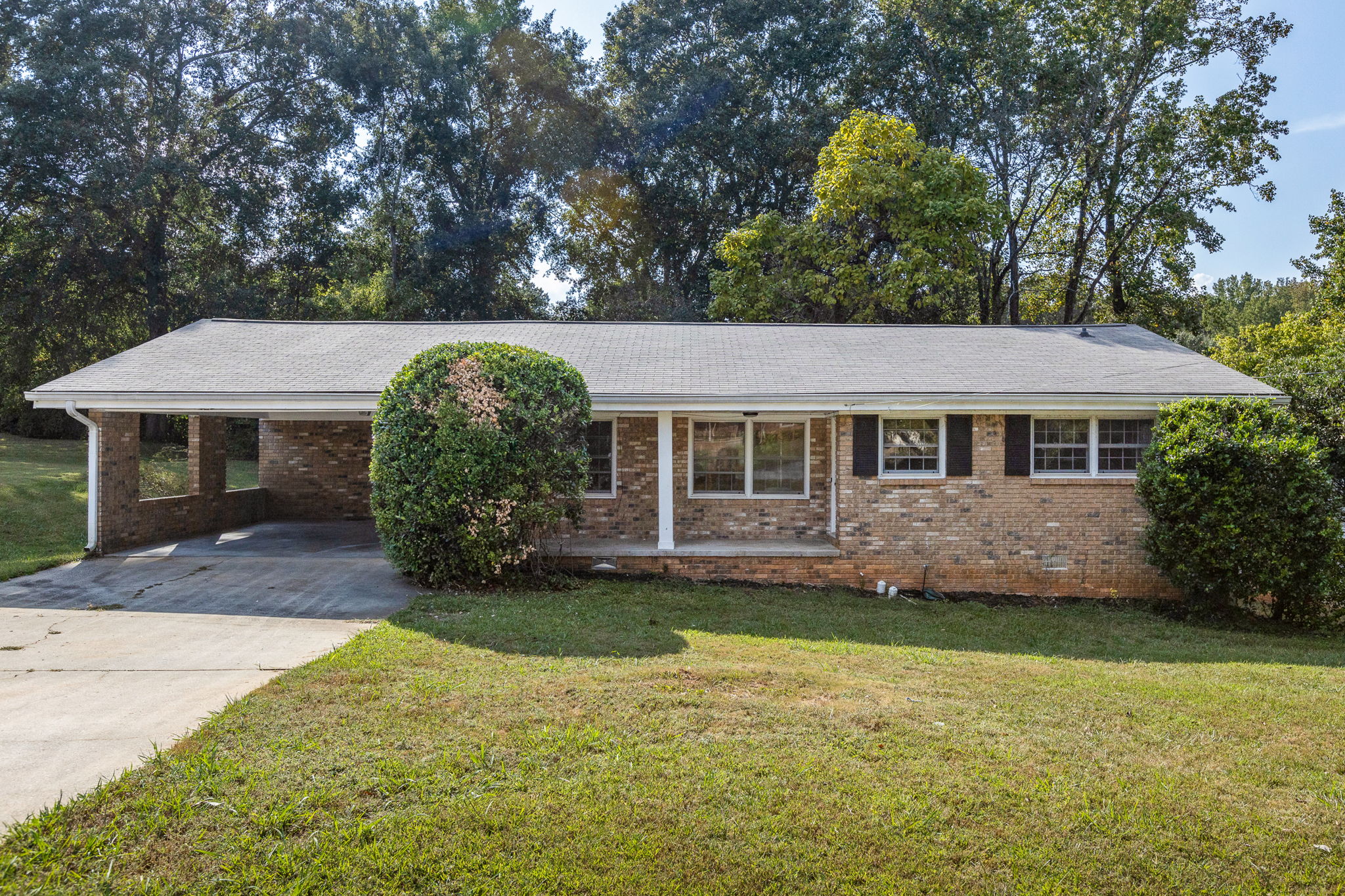 20250922_3175boyce_roots_032