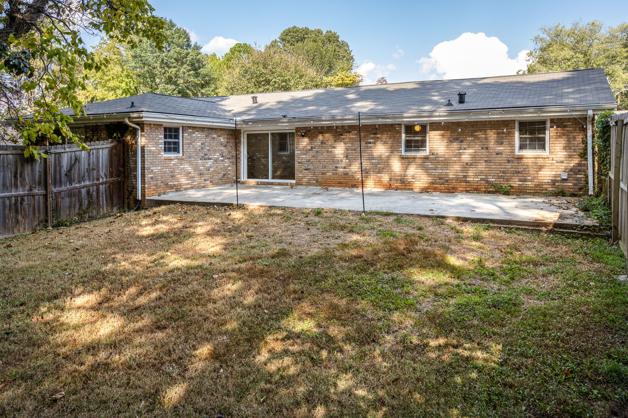 20250922_3175boyce_roots_036