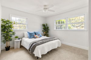 20250922_3175boyce_roots_001