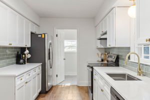 20250922_3175boyce_roots_024