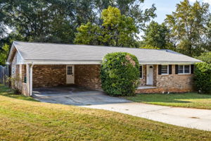 20250922_3175boyce_roots_033