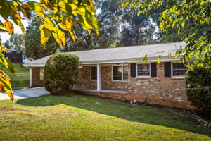 20250922_3175boyce_roots_034