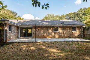 20250922_3175boyce_roots_035