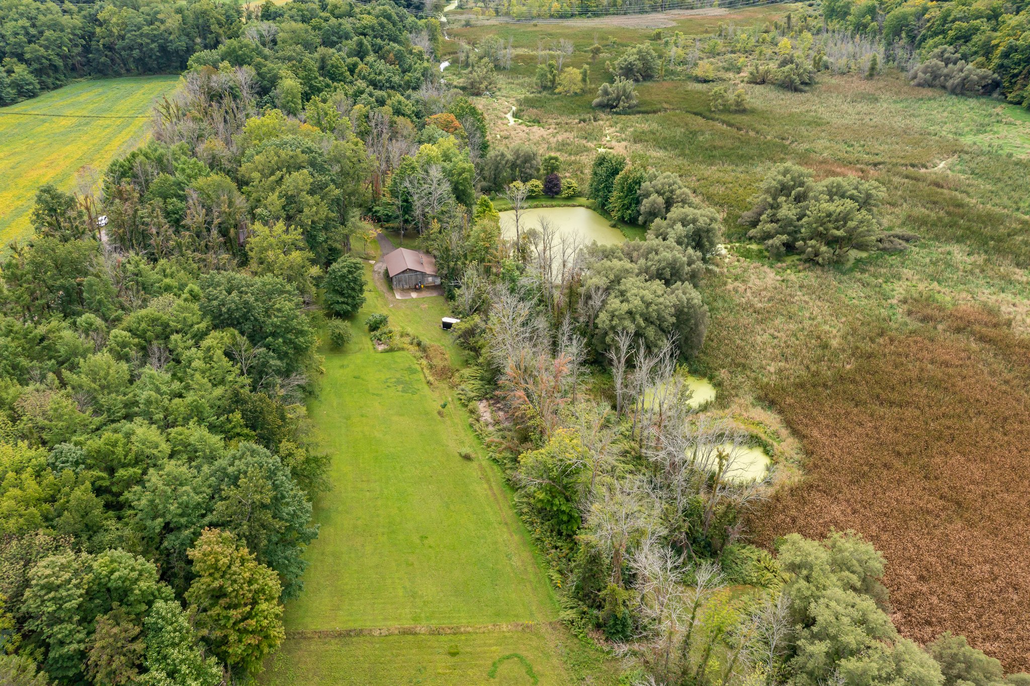 3177 Jagger Rd, Marion, NY 14505, USA Photo 5