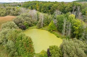 3177 Jagger Rd, Marion, NY 14505, USA Photo 6