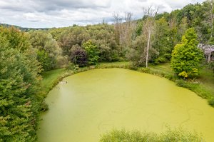 3177 Jagger Rd, Marion, NY 14505, USA Photo 13