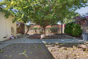  Photo 38