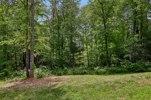 Cider Hl Ln-S1305-040.jpg