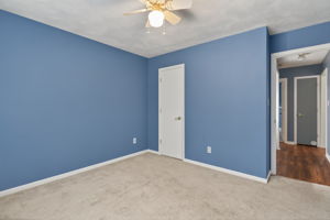  Photo 31