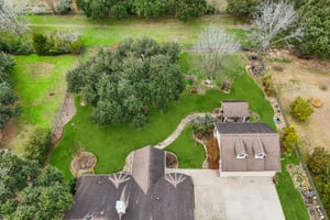 Tree Farm Ln-L1102-081.jpg