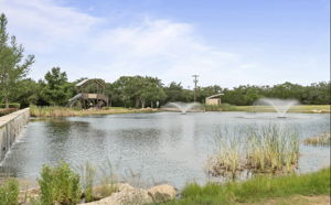  Photo 49