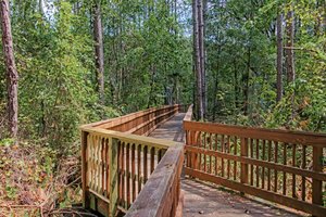 Oak Leaf Plantation