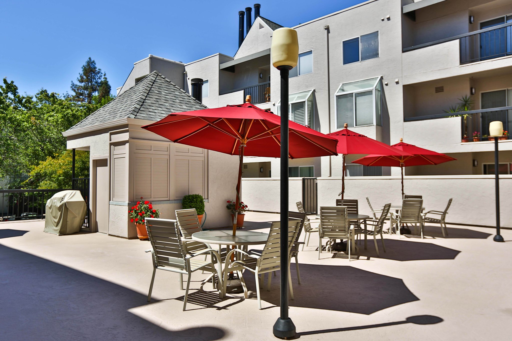 3183 Wayside Plaza, Walnut Creek, CA 94597, USA Photo 16