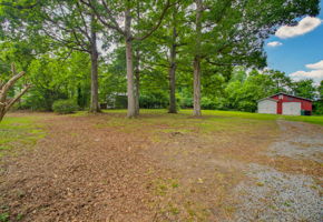 319 Dogwood Cir-30