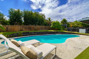 Pool & Loungers