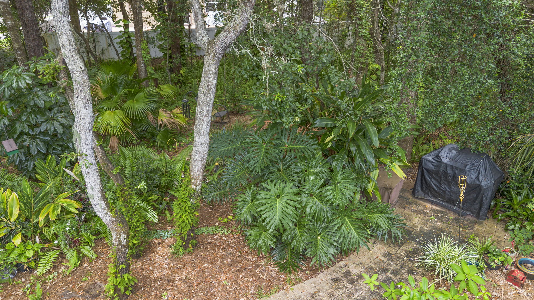  Photo 48