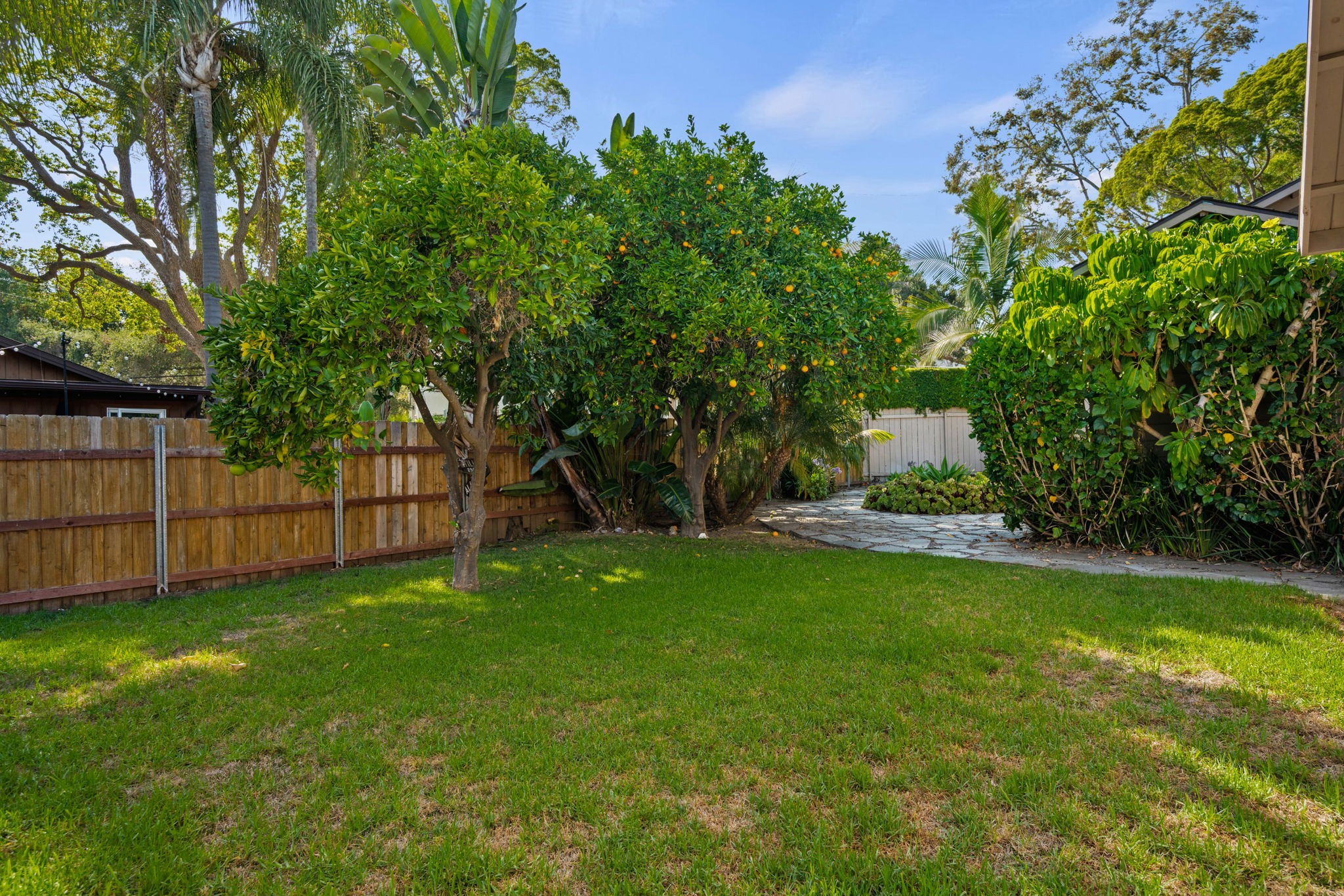 26-Back Yard