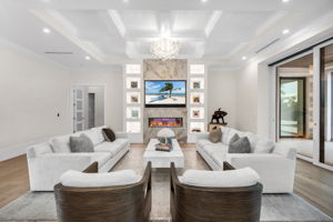 Living View 3