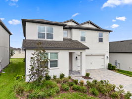 z Drone (1)