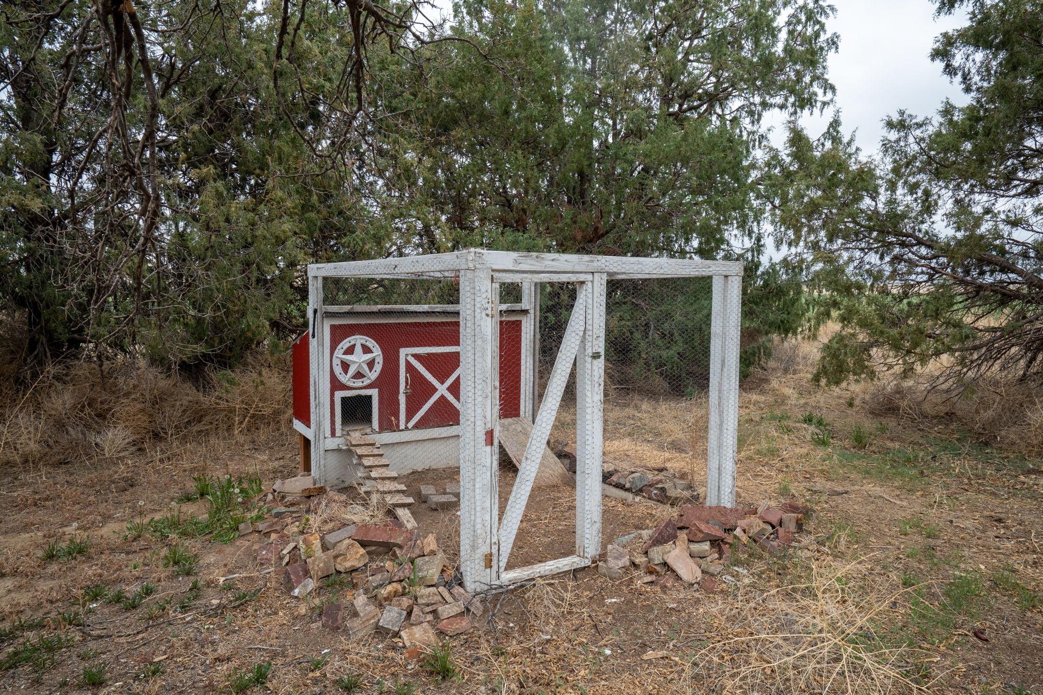  Photo 32
