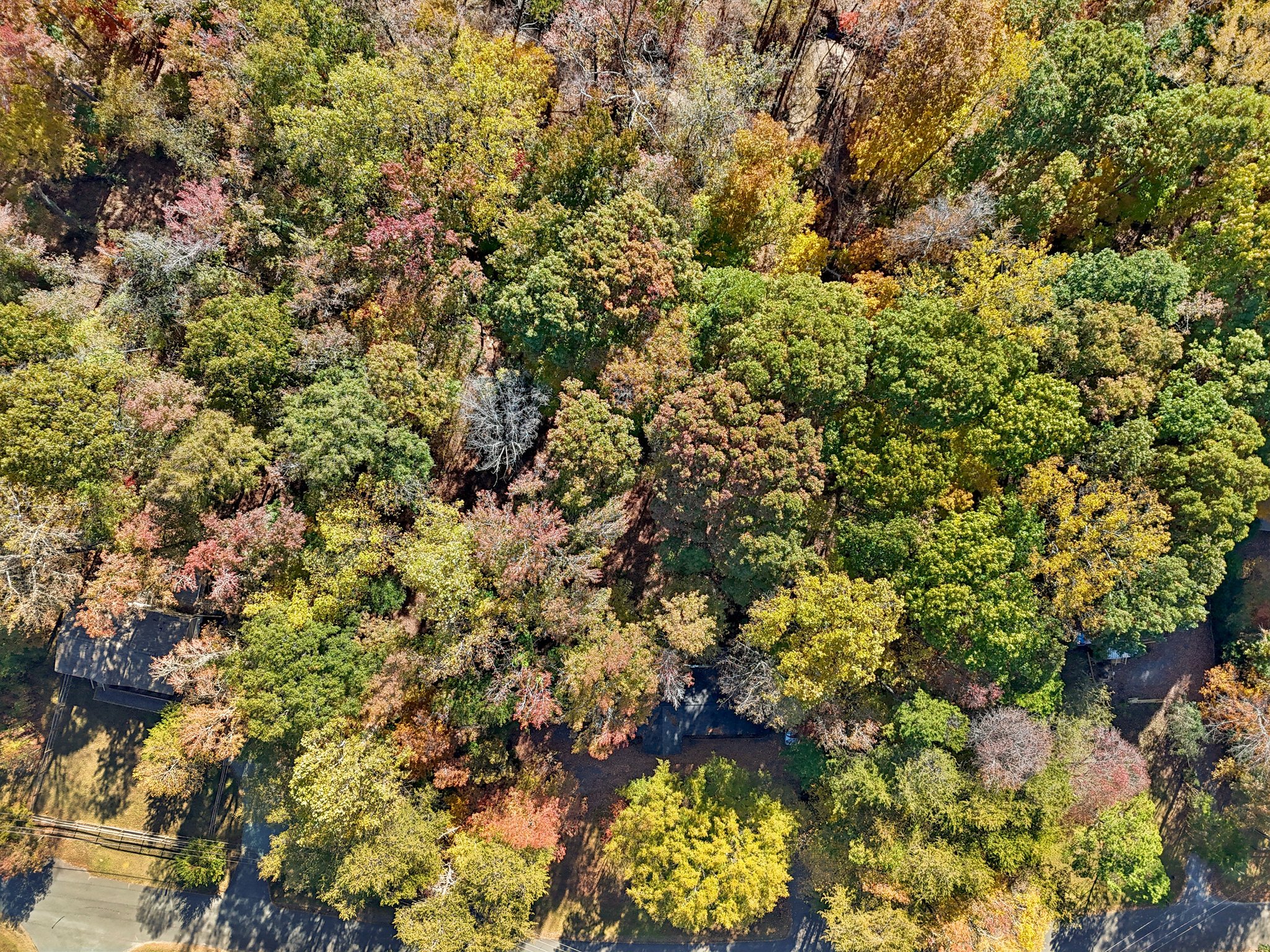 Torrence Branch Dr-S0611-040.jpg