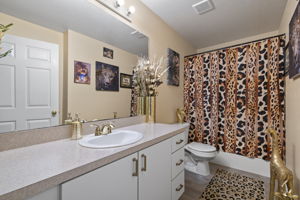 Primary Bathroom 1
