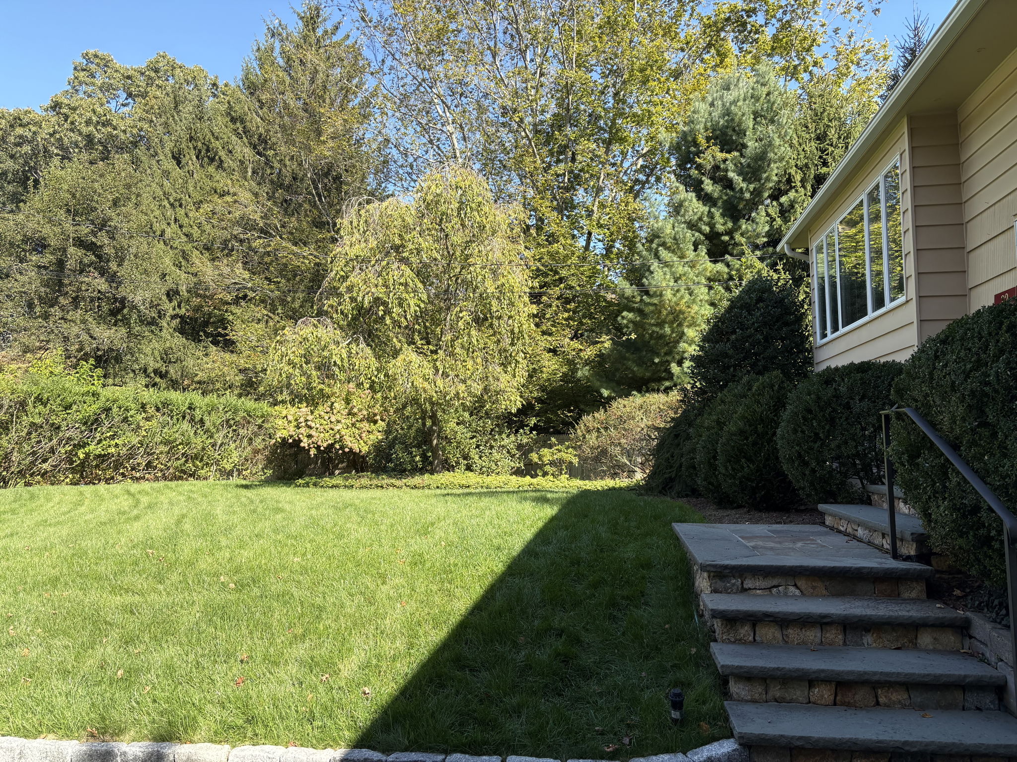 Easy steps to the front door from the flat driveway.