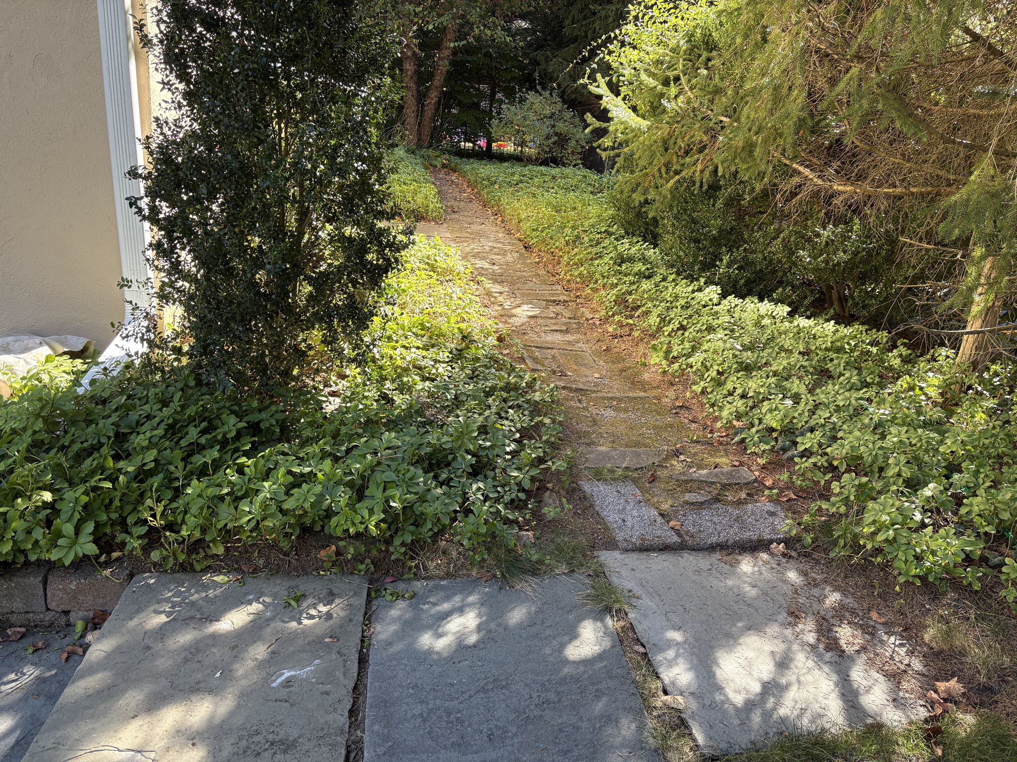 View to pathway from the driveway to the right side of the home leading to the rear yard.