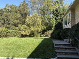 Easy steps to the front door from the flat driveway.