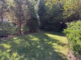 Back of the yard with the deck to the right showing the well cared for plantings.