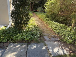 View to pathway from the driveway to the right side of the home leading to the rear yard.