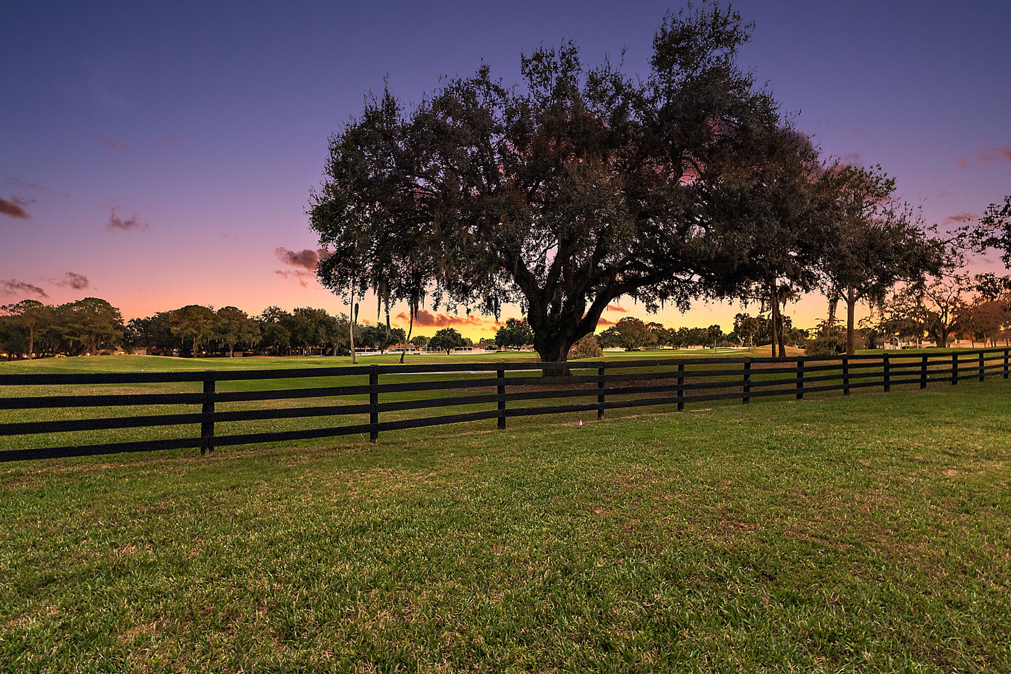 Twilight Rear Yard with Golf Front Views
