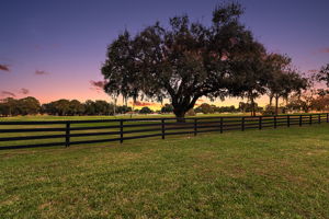Twilight Rear Yard with Golf Front Views