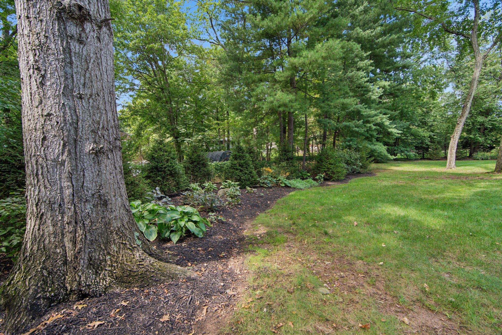 32_Stratford_Dr_Livingston_NJ (101 of 110).jpg