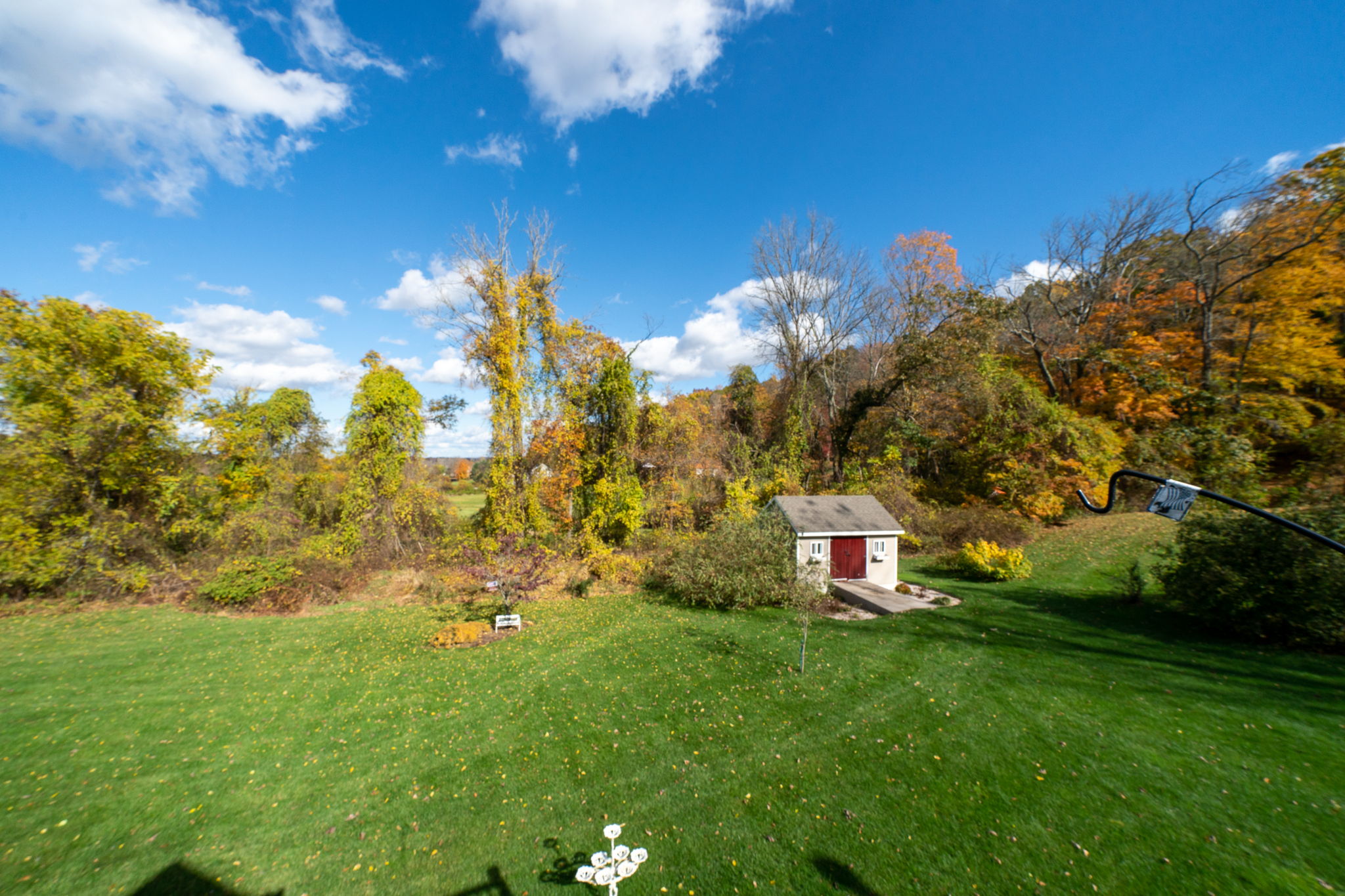 Back Yard....All 1.14 Acres are yours to enjoy!