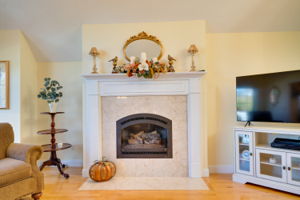 Living Room Fireplace