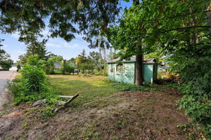  Photo 49