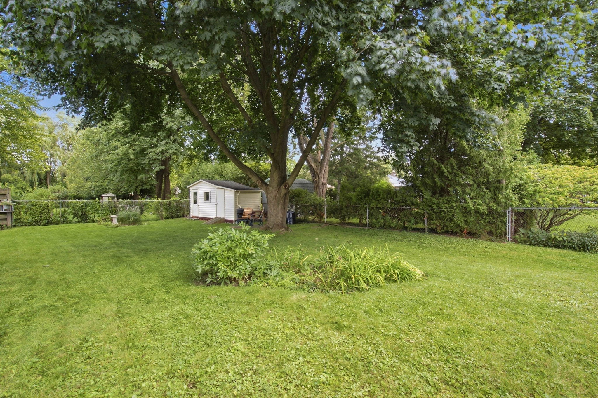  Photo 41